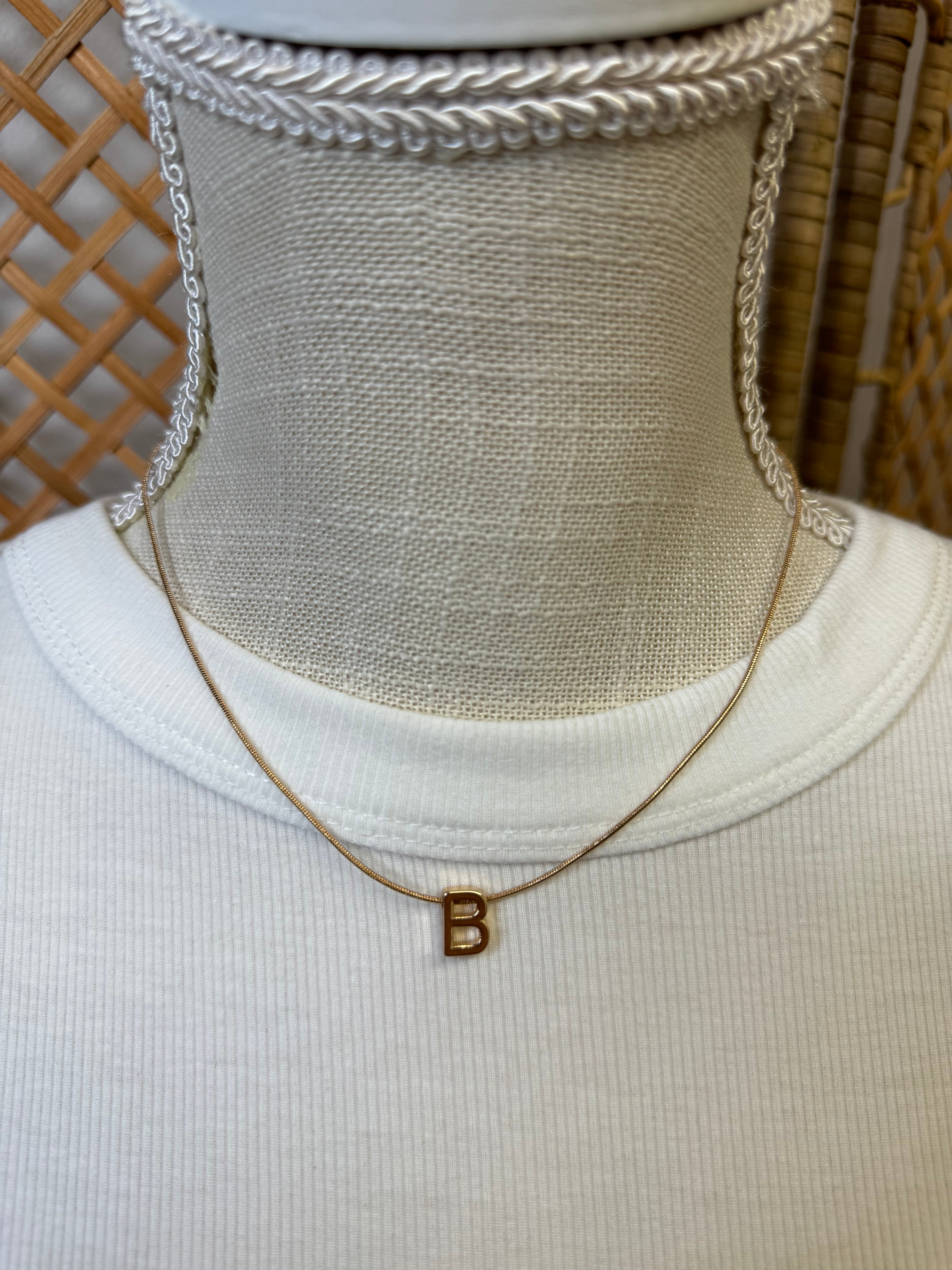 Delicate Initial Necklace-Necklaces-Fame-The Silo Boutique, Women's Fashion Boutique Located in Warren and Grand Forks North Dakota